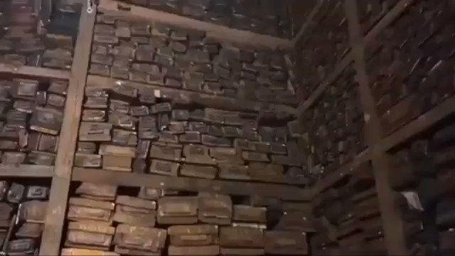 حقيقة فيديو: العثور على مكتبة تعود إلى العصر العباسي في منغوليا نهبها التتار من بغداد