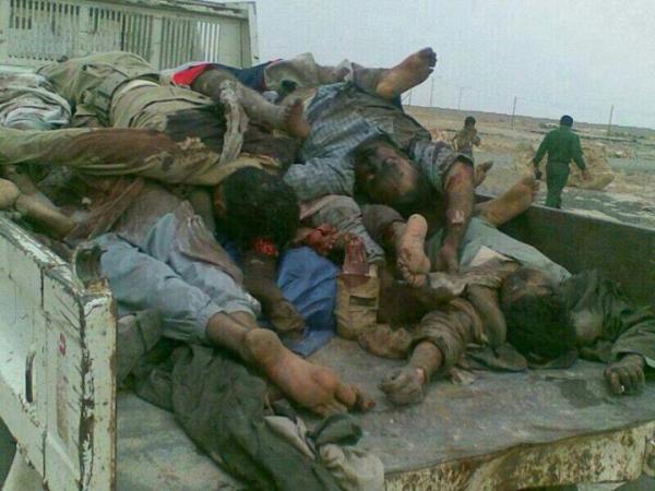 شاهد صورة لجثث قتلى ميليشا الحوثي حول جبل ضين وفي قرية بني ميمون بعمران فوق شاحنة
