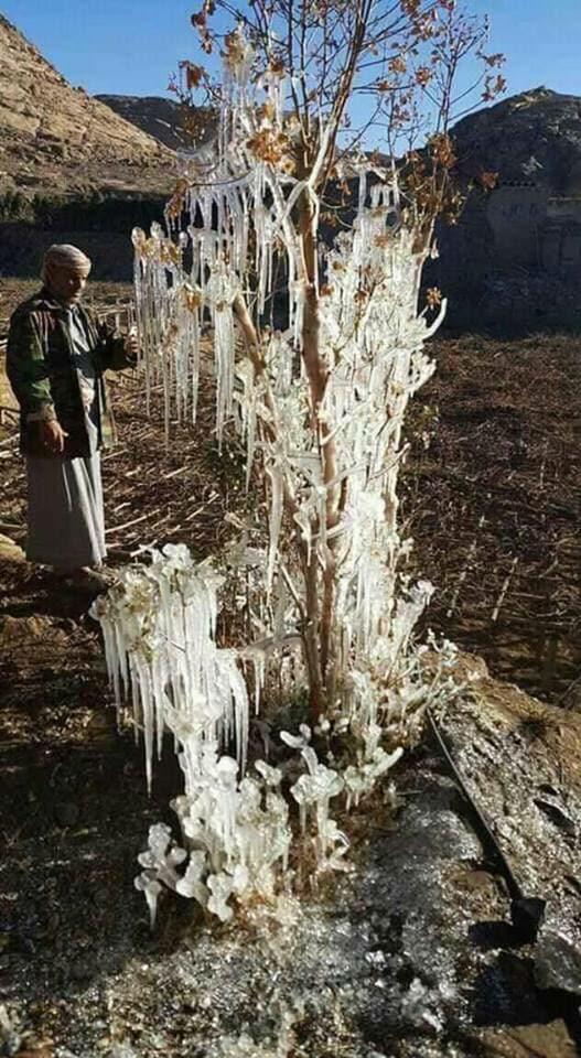 اليمن : برد شديد حتى وصل الى التثلج لأول مره بتاريخ اليمن (صور حصرية)