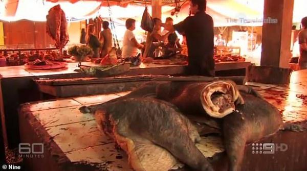 مشاهد سرية من سوق تجارة الحيوانات البرية تثير ذعرا.. وتوقعات بوفاة 60 مليون شخص بسبب كورونا
