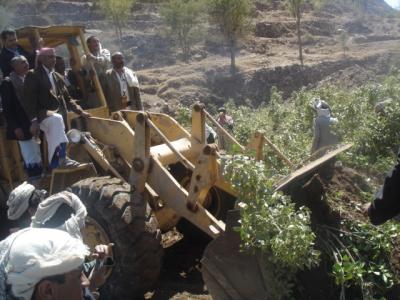 قتلاع اشجار القات في مديرية ضوران آنس محافظة ذمار