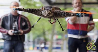 قطة تتحول لطائرة هيلوكوبتر فعلا مذهل